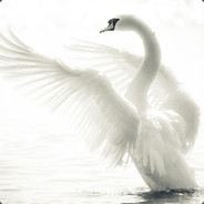 不主动不拒绝不承诺不负责