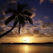 ĀĤÃΛ ĶĄPΉĀβĀΛ - steam id 76561197960382815