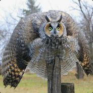 wanghuskahn - steam id 76561197970941930