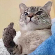 长矛粘屎 戳谁谁死