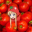 Pom_I_Dorchik