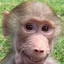 Kid named pubert