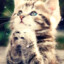Wanan_520