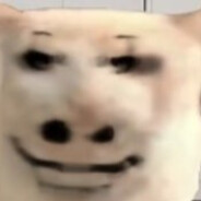 徐坤