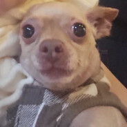 маэстро хуесос