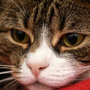 别叫哥，我不是你哥