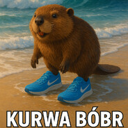 Ku!w@ Bóbr
