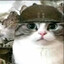 Gray.Rustle