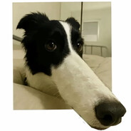 宇宙超级无敌暴龙战士