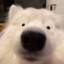 738114391