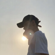 飞过天空的板砖