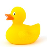 煮熟的鸭子飞了