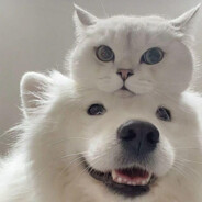 心里永远带着光