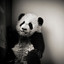 _Panda_Neeger_