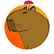 mushybara