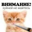 Лёха АКБ