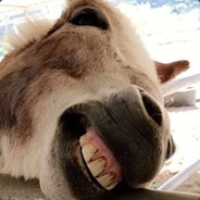 mikegp - steam id 76561197971695338