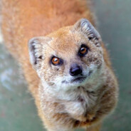 imzzz - steam id 76561198382979548