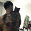 春