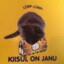 Kiisul On Janu