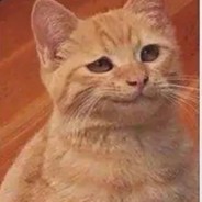 呐呐~欧尼酱~戴suki~