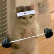 dej_w polski-survival.pl