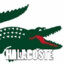 halacoste
