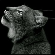 老刘的离休生活