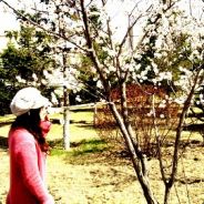 深海鱼不流眼泪