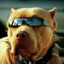 Woof