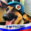 Билли Ногами