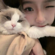 微风不及他温柔