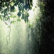 Rainfall
