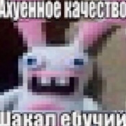 Саня Амстердам