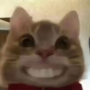红烧鱼