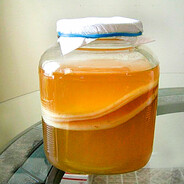 Kombucha - steam id 76561199207940538