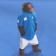 Macaco Tenista Steam avatar