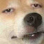 Fleef