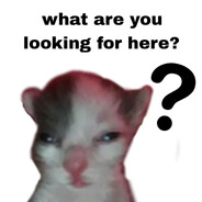 Stankecc