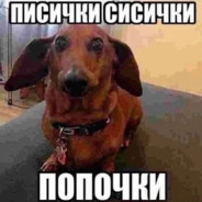 очко дедушки - steam id 76561198990808882