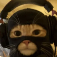 apipillo