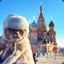 Russian cat