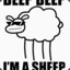 sheeptime