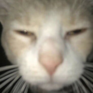 战斗爽战斗爽战斗爽battle excitedly