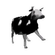 SprzedamKrowe Steam avatar
