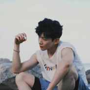 喜欢睡觉的高贵的羊