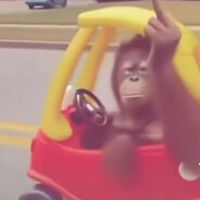 RAFFUX avatar