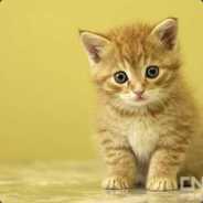 棋鼓相当的对手