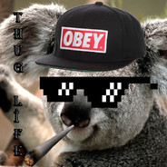 Koalamen avatar