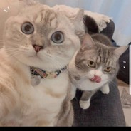 这波我在第五层